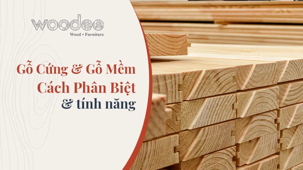 Gỗ cứng & Gỗ mềm, cách phân biệt và tính năng